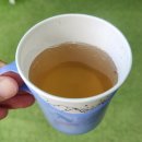 솔바람 | 충남 홍성 가볼만한 곳, '홍성 솔바람테마파크' 관람 후기