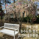 우곡면사무소 | [경북 고령] 고령 능수도화 도진마을무릉원 주차 실시간