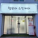 쉘모아스킨