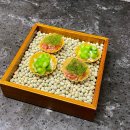 강남-226 | 강남파인다이닝 가성비 프랑스 요리 맛집 내돈내산 찐 후기