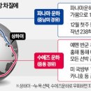 로이드물류