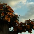 광주시청 이미지