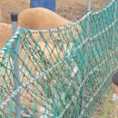 늘솔길근린공원양떼목장 이미지