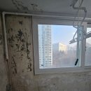 반도보라아파트 | 의왕 탄성코트 반도보라빌리지 베란다 규조토 결로 페인트 후기