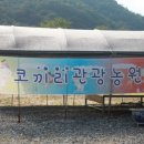 코끼리 관광농원 이미지