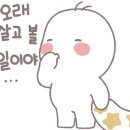 아띠베베 이미지