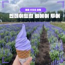 우미농장 | 여름 삿포로 여행 | 엔데이트립 비에이 &amp; 후라노 당일 투어 후기
