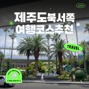 이니스프리 ~물만난산오징어 | 🏝️제주도 북쪽, 서쪽 여행코스 추천! 2박3일 여행 후기✨