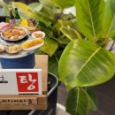 찌개랑 술술