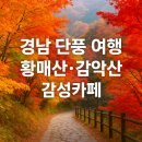 거창읍-26 | 경남 단풍 여행 코스 추천｜황매산·감악산 명소와 감성카페