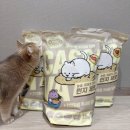 먼지 없는 고양이 모래, 응고력 좋은 고양이 카사바 모래 추천 세이오앙 사용 후기