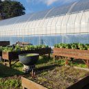 송한농장 이미지