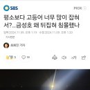 평소보다 고등어 너무 많이 잡혀서?…금성호 왜 뒤집혀 침몰했나 이미지