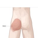 (주)잠원투엑스휘트니스 네이버블로그
