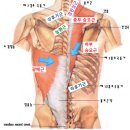 운동에 반하다 이미지