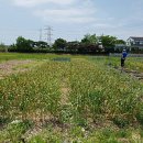 김미옥 농장 이미지