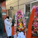 뽀도독 애견카페 이미지