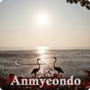 나문재관광농원 | 충남 태안 여행 서해안 섬안의섬 안면도 쇠도 나문재펜션 힐링 숙소