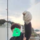 에스쁘아 풀빌라 펜션 이미지