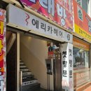 부산미용실 동래미용실 미남역미용실 에리카헤어 미남점에서 받은 4단계 클리닉