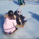 어린이회관 눈썰매장 네이버블로그