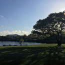 라온CC 골프연습장 이미지