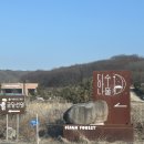 꿀벌유치원 | [어린이 뮤지컬] 5세 아이의 첫 뮤지컬 성공기 @용인 디아나수풀 '꿀벌 마야의 모험'