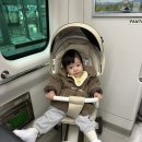 새로산운동화 | 아기 나이키 코트버로우 운동화 130 사이즈 후기 휘뚤마뚤 코디 가능한 찐만족템 추천