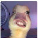 (주)지씨코리아 | 2025년 11월 셋째주(20251110~20251117)