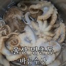 일품샤브샤브 | 울산 명촌 쭈꾸미 맛집 '바름수산' 제철 알쭈꾸미 샤브샤브 솔직후기