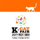 케이네트웍스 이미지