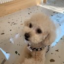 율무상점 이미지