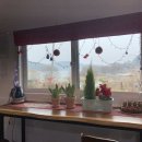 흥림농장 이미지