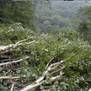 아낌없이 주는 행복 이미지