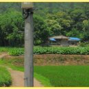 남부농원 이미지