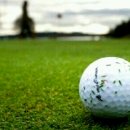 사이버스크린 골프 이미지