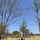 송이조각공원 화장실 이미지