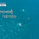 큰집민박 이미지