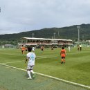 강진-13 시민일보