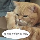 도예 A반 | 다이어트 캠프 후기 _ 7일 동안 식단과 변화 ( 내돈내산,, 100일반 등록 / 경주 런다이어트캠프 )