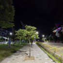 용두공원로 이미지