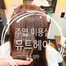 강선마을 미용실 주엽 미용실 밤가시마을 미용실 뮤트헤어 염색 클리닉 찐후기