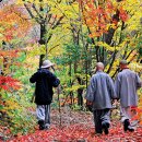 국립공원 단풍길 25선 이미지