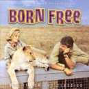 born free(야성의 엘자 O.S.T)-John Barry & Matt Monroe 이미지