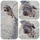 서림세차장 이미지