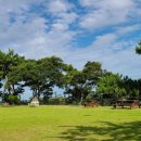 바다가쓴시 이미지