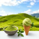 (주)디에스메타 | 녹차로 체중 조절?