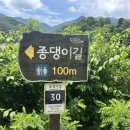 종댕이길 화장실 네이버블로그