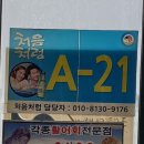 보라회센타