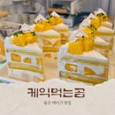 오렌지곰카페 | 울산 중구 케이크 맛집 케익먹는곰 당일픽업 수제 조각케이크